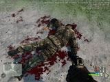 Blood mod