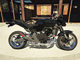 2010 Honda Hornet 600