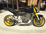 2014 Honda Hornet CB600F