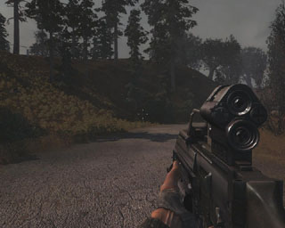 G36
