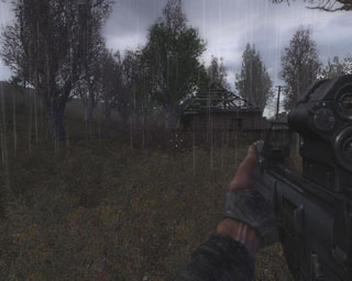 G36