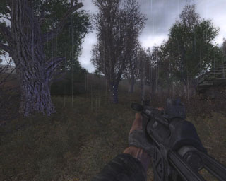 MP5