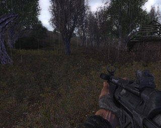 MP5