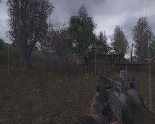 Sig550